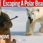 He Dropped His Rifle Running From A Charging Polar Bear