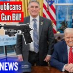 Wow, Republicans Block Pro Gun Bill!