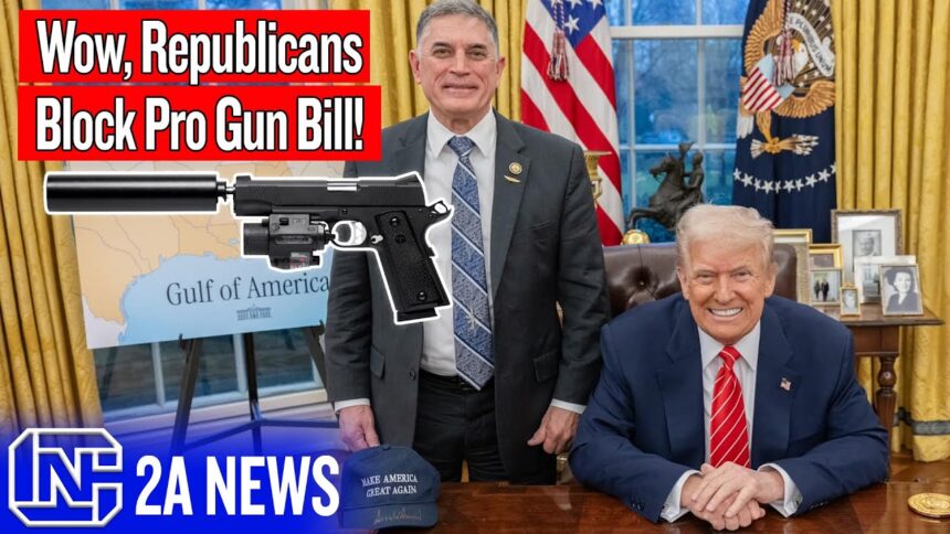 Wow, Republicans Block Pro Gun Bill!