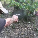 Colt King Cobra  22LR Woods Walk