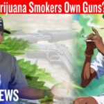 Should Marijuana Smokers Own Guns?