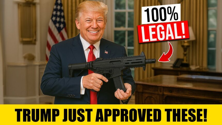 10 AWESOME GUNS JUST APPROVED BY TRUMP 2025 – The New List!