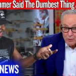Chuck Schumer Said The Dumbest Thing About Guns