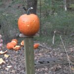 Pumpkin Carving  2025 with a 45 ACP Pumpkin Carving  2025 with a 45 ACP