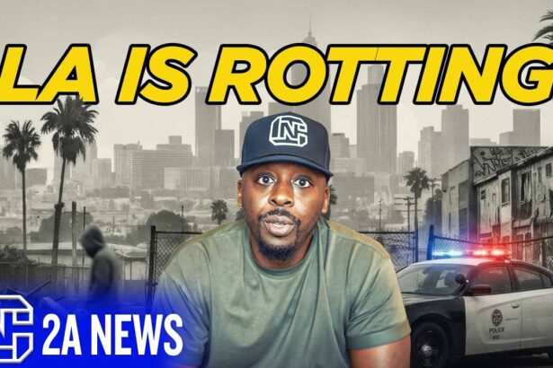 LA Burglars Aren’t Afraid Anymore… And This Video Proves It