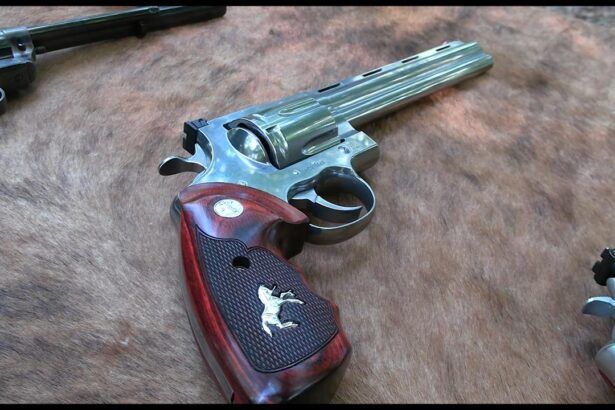 What is the Best BBQ Gun?