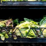 Massive lettuce-linked outbreak expands to 3 more states with over 11,000 illnesses