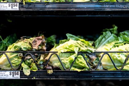 Massive lettuce-linked outbreak expands to 3 more states with over 11,000 illnesses