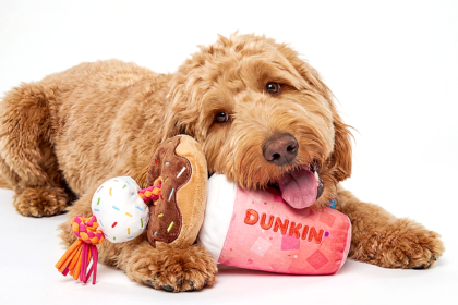 Dunkin’ opened its first-ever dog drive-thru with treats and toys for pups on National Dog Day