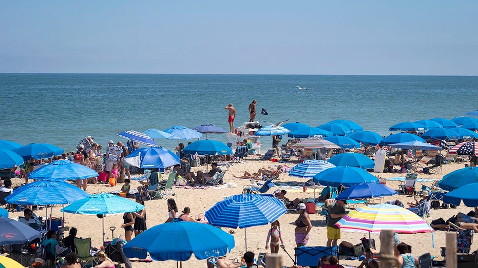 People on a Delaware beach