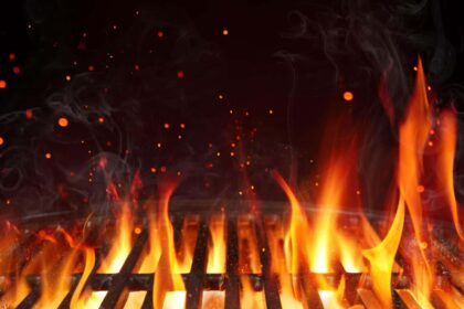 Wild Game Grilling Guide
