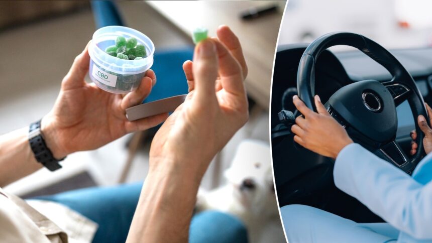 Marijuana users may face hidden driving danger that standard tests can miss
