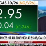 Lee Zeldin details EPA’s efforts to address high diesel prices: ‘We’re looking to do our part’ | Fox Business Video