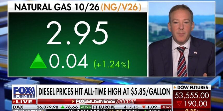 Lee Zeldin details EPA’s efforts to address high diesel prices: ‘We’re looking to do our part’ | Fox Business Video