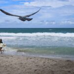 Move over, South Beach: 3 quiet Florida beach alternatives to try this Labor Day weekend
