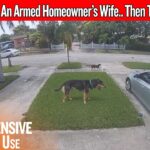His Wife Was Trapped In The Driveway… Then He Came Back Armed