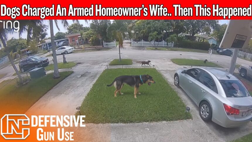 His Wife Was Trapped In The Driveway… Then He Came Back Armed