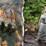 Strange rock catches scientist’s eye during creek search, leading to rare discovery