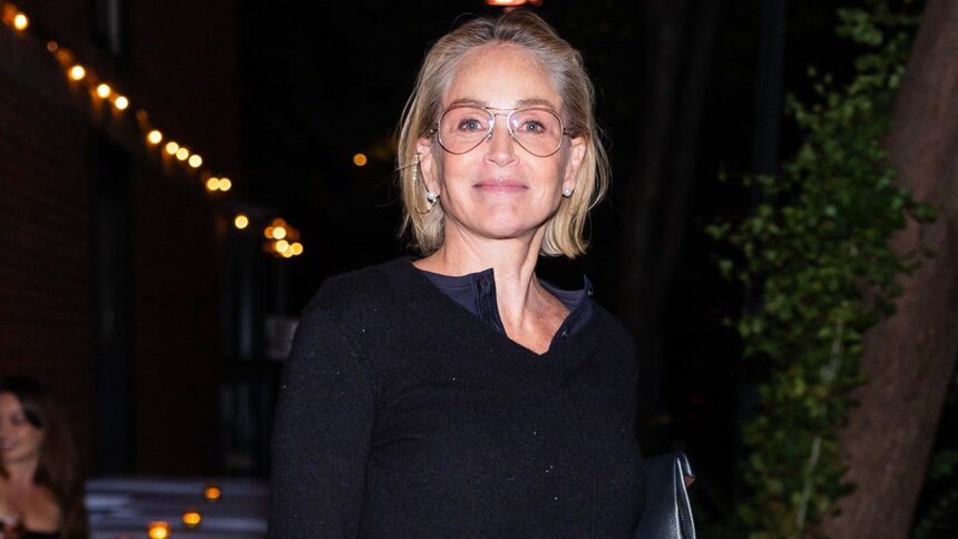Sharon Stone claims ex-husband signed her up for brain surgery without her consent after stroke