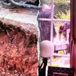 Shocking discovery of ancient bones turns couple’s kitchen renovation into ‘crime scene’