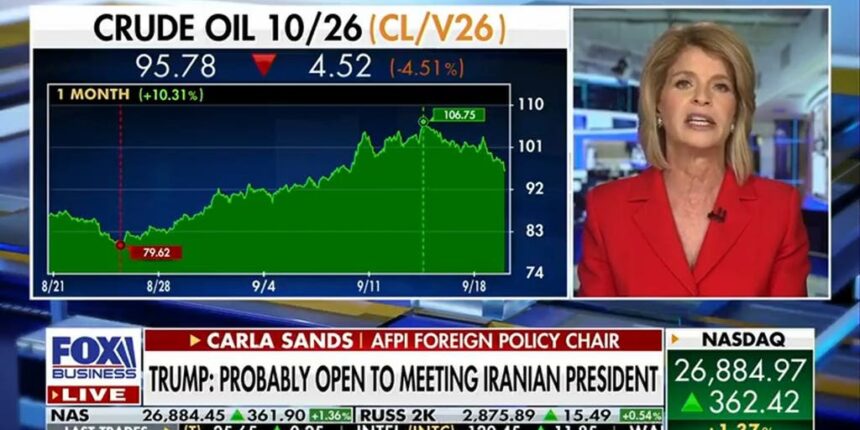 Carla Sands warns Trump to stop the US-Iran conflict, US and Denmark reach deal | Fox Business Video