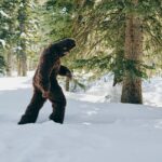 Hard Mountain Dew offers M bounty to anyone who can prove Bigfoot is real