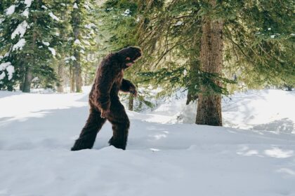 Hard Mountain Dew offers M bounty to anyone who can prove Bigfoot is real