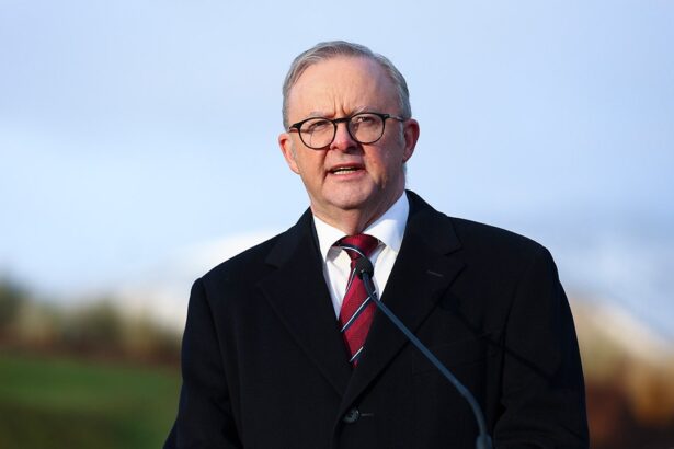Australian prime minister says OpenAI agent accessed government health website, raises ‘extreme concern’