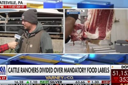 Beef prices rise 64% as ranchers debate mandatory labeling rules | Fox Business Video