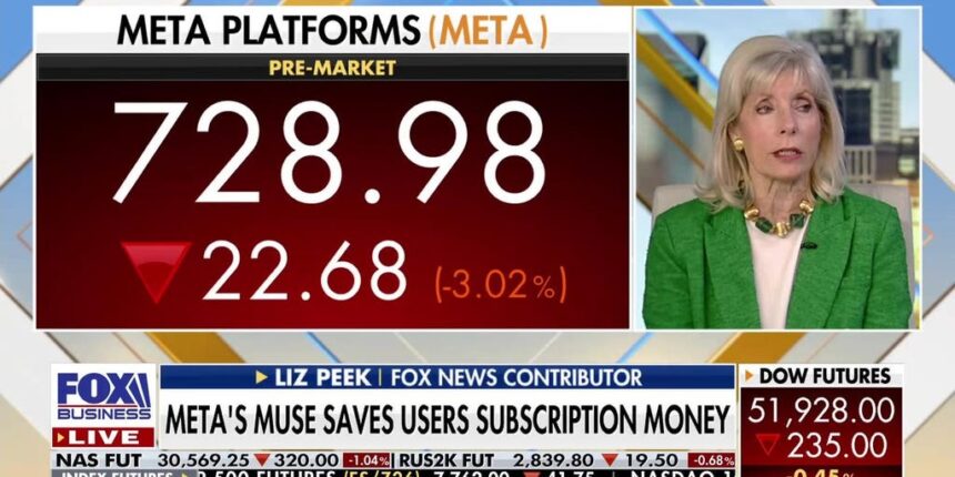Meta’s Muse AI assistant raises major cybersecurity and privacy concerns | Fox Business Video