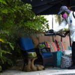Dengue fever outbreak triggers states of emergency in 3 southern counties