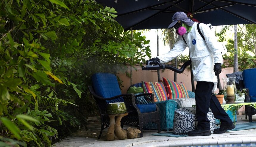 Dengue fever outbreak triggers states of emergency in 3 southern counties