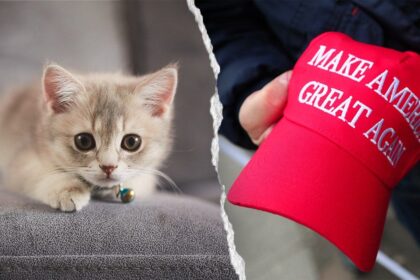 NYC kitten rescue defends ‘NO F—ING MAGA’ adoption policy as PETA calls for it to be abolished