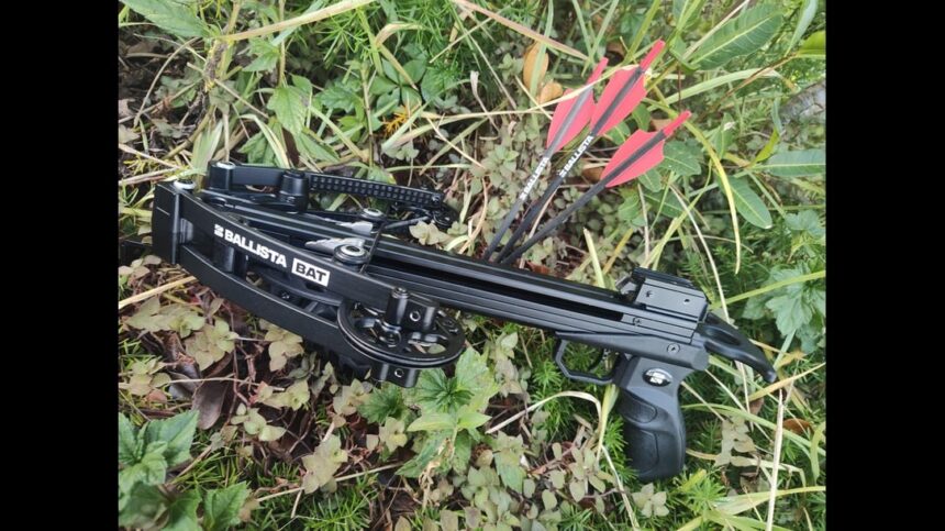 The Bat Crossbow Transforms Tiny into Mighty