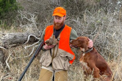 Types Of Bird Hunting Dogs