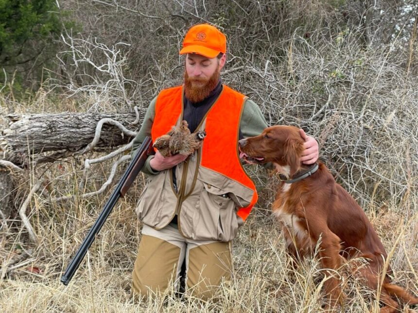 Types Of Bird Hunting Dogs