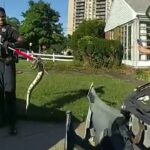 New Jersey police pull out 3-foot python from woman’s car grille, bodycam video shows