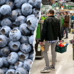 Florida woman died after eating E coli-tainted frozen blueberries from Publix, lawsuit alleges