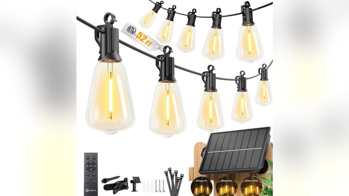 These lights automatically turn on each night.
