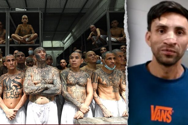 Machete-wielding MS-13 gangster wanted for murder walks free after Biden-appointed judge releases him: DHS