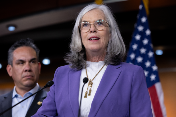 Top Democrat survives double-barreled challenge as party’s Israel divide hits home