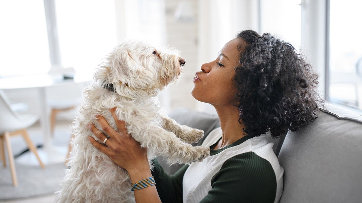 woman sits indoors playing with dog.