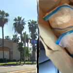 California pizza joint allegedly used as meth distribution hub as illegal immigrant charged