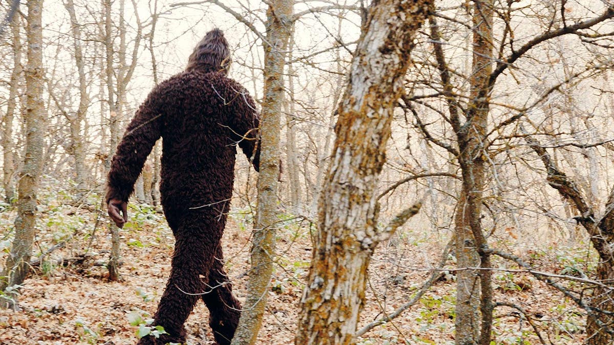 Sasquatch Bigfoot stands in an autumn forest.