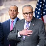 Top Republican names who he says is really leading Democrats — and it’s not Schumer or Jeffries