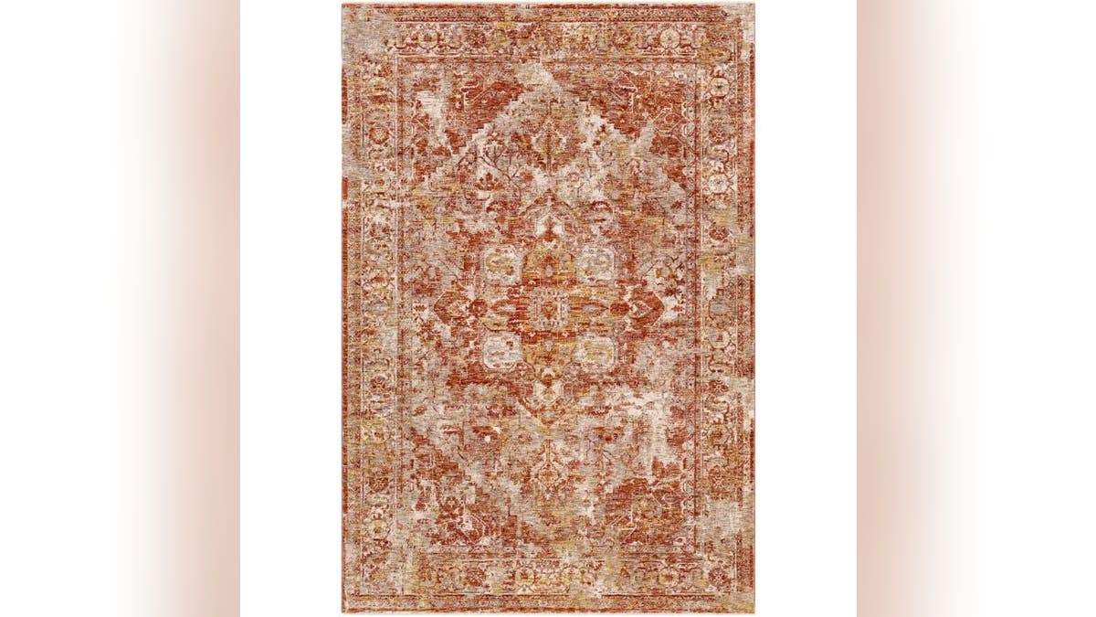 Add a rug to your living room that's easy to clean.
