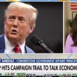 Cassie Smedile on why Chinese vehicles should be banned in the US | Fox Business Video