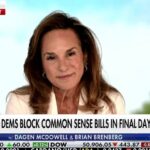 Democrats talking about affordability is ‘cute,’ Rep Lisa McClain says | Fox Business Video