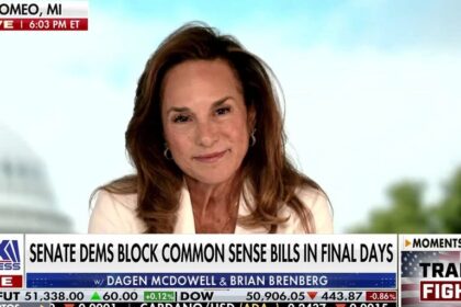 Democrats talking about affordability is ‘cute,’ Rep Lisa McClain says | Fox Business Video