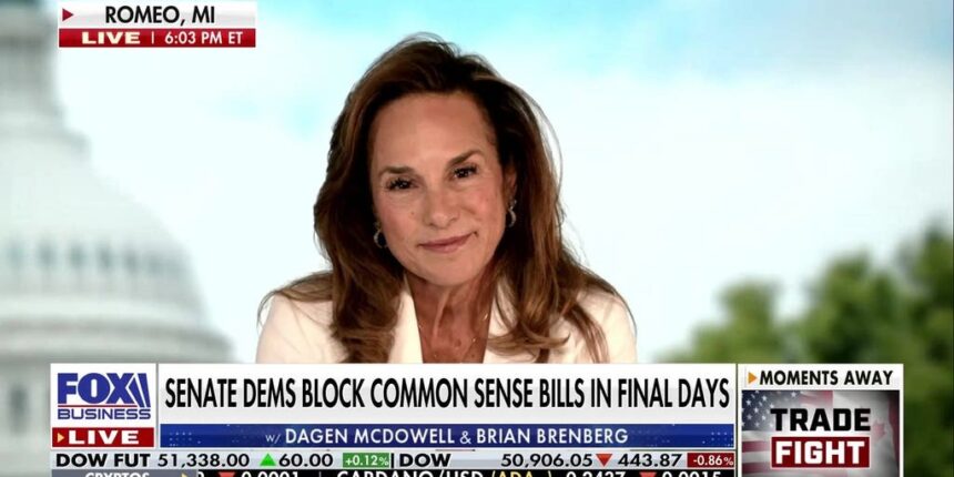 Democrats talking about affordability is ‘cute,’ Rep Lisa McClain says | Fox Business Video
